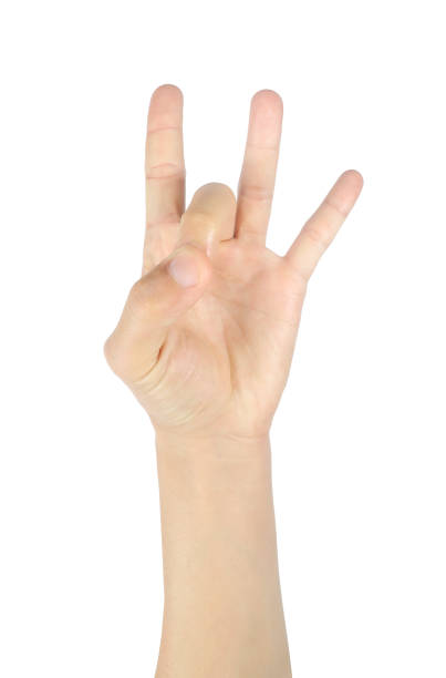 istock Right palm, male hand gestures 1344283535