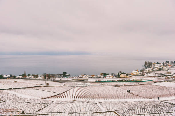 Winter landscape of Lavaux vineyards under snow and lake Geneva, Canton of Vaud, Switzerland stock photo