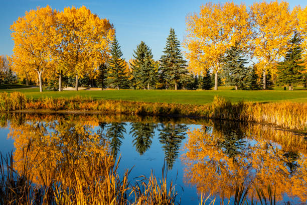 Fall colours on the edge of town. Calgary, Alberta, Canada