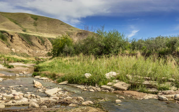 istock Bridge and winding creek leading into town Heskith Alberta Canada 1344283923
