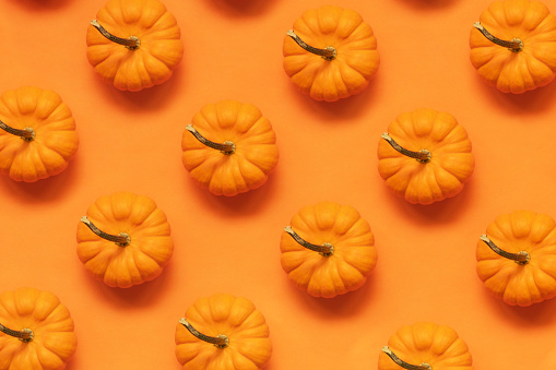 Pumpkins flat lay on orange background
