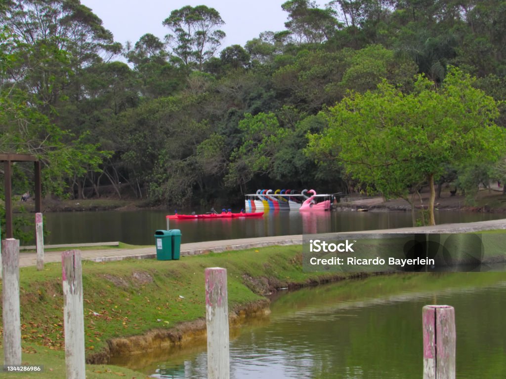 Multicolored paddleboats in the shape of swans, anchored on the shore of a tranquil lake in Centenario park. Multicolored paddleboats in the shape of swans, anchored on the shore of a tranquil lake in Centenario park - MOGI DAS CRUZES, SAO PAULO, BRAZIL. Anchored Stock Photo