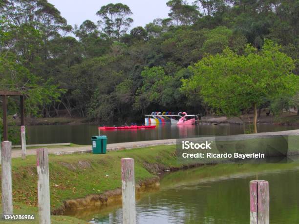 Multicolored Paddleboats In The Shape Of Swans Anchored On The Shore Of A Tranquil Lake In Centenario Park Stock Photo - Download Image Now