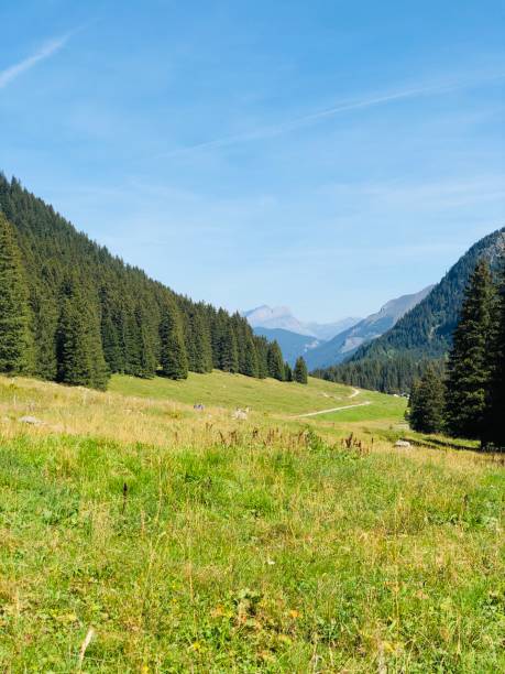 istock Tour of MontBlanc 1344287107