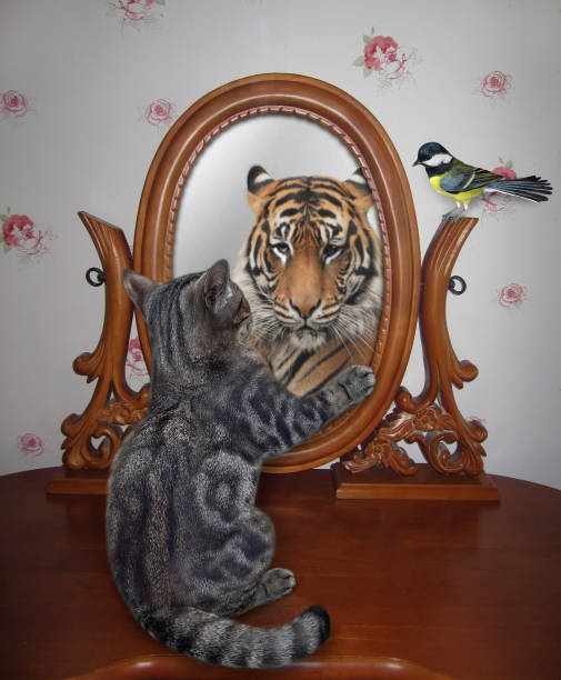 istock Cat gray looks in mirror in wooden frame 1344287186