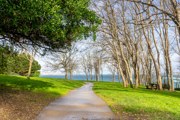 istock Small path in a natural park surrounded by trees for exercise and running 1344287799