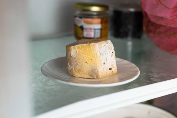 冷蔵庫の棚にカビで覆われた甘やかされたチーズ。 - mold damaged toxic mold mildew ストックフォトと画像