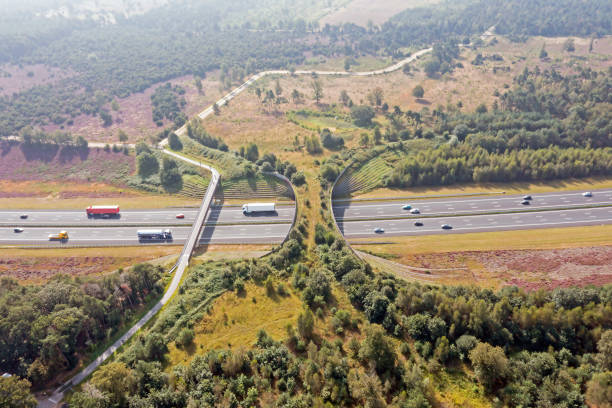 Aerial from ecoduct De Borkeld on the highway A1 in Rijssen the Netherlands