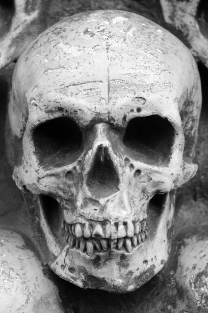istock Artificial human skull close-up as background for congratulations to Halloween 1344291986