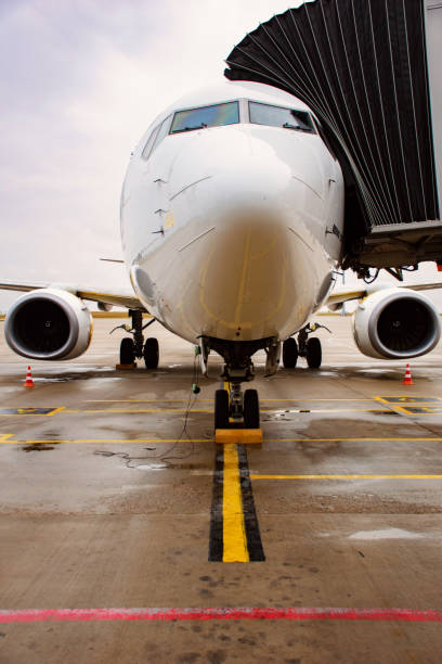 istock Aircraft docked in airport at terminal gate 1344293109