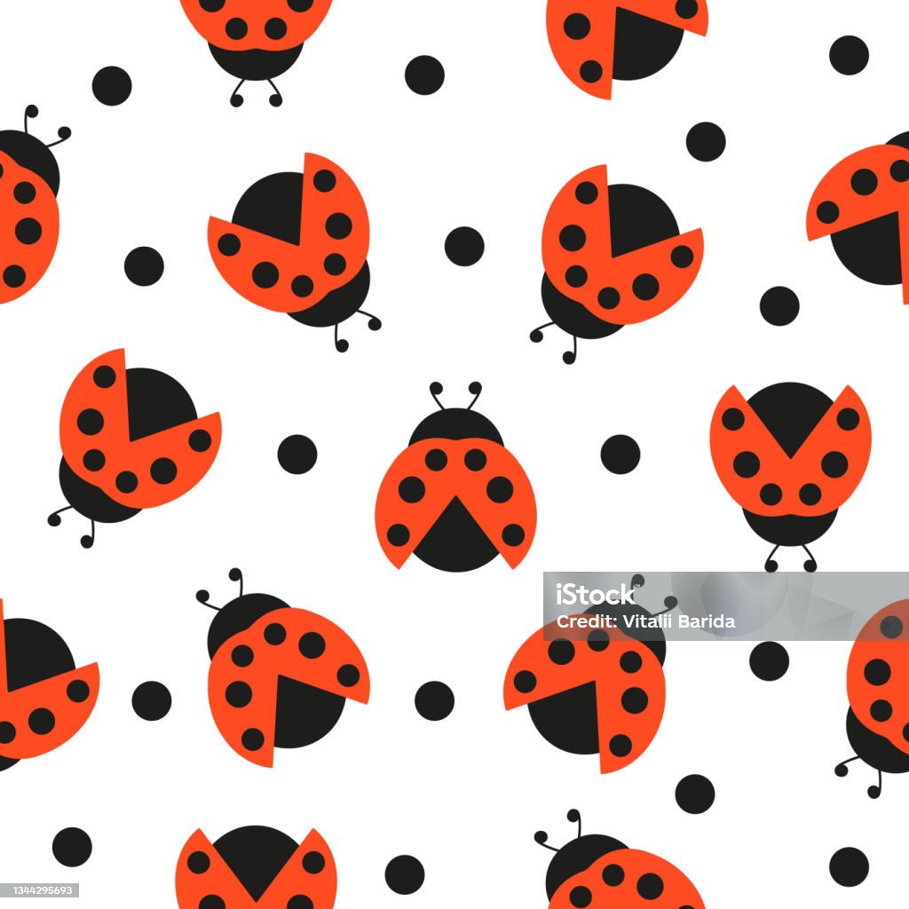 Ladybug Insect Pattern Ladybugs Seamless Pattern Ladybirds Insects Flying Stock Illustration ...
