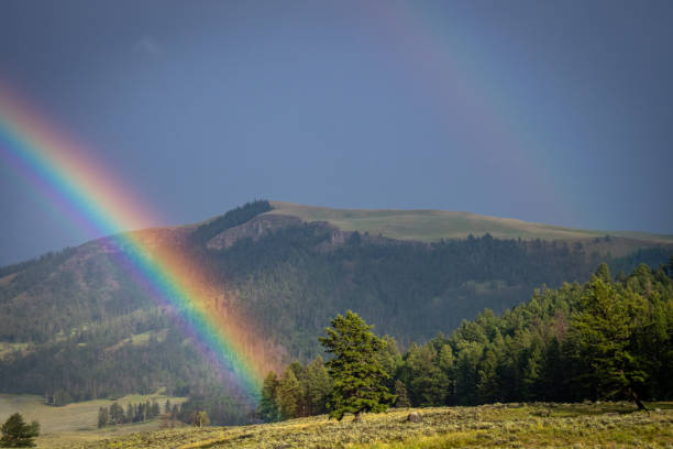 double rainbow in front of specimen ridge - end of the rainbow imagens e fotografias de stock