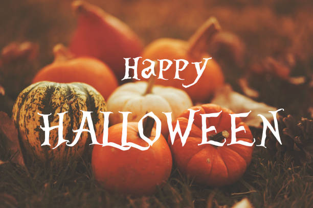 istock Pumpkins on the ground 1344300157