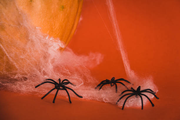 istock Halloween still life with pumpkin with spider web. Selective focus.  Copy space. 1344306298