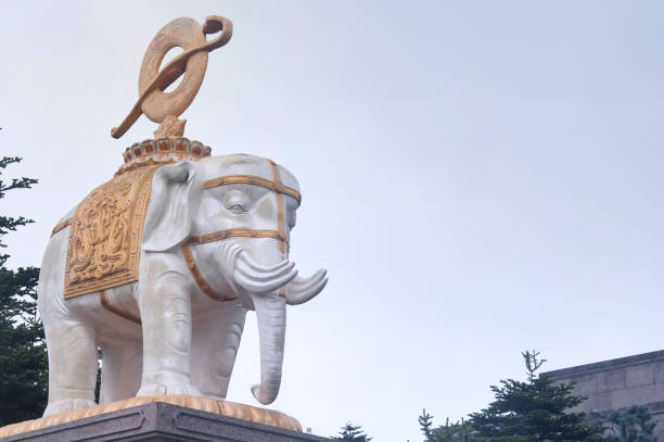 белый слон эмэйшань провинция сычуань китай - emeishan стоковые фото и изображения