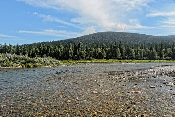 istock Virgin Komi forests. 1344311052