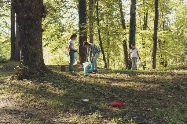 istock People cleaning up the forest together 1344311711