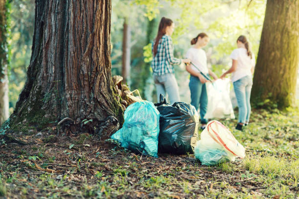 istock Volunteers cleaning up the forest 1344311773
