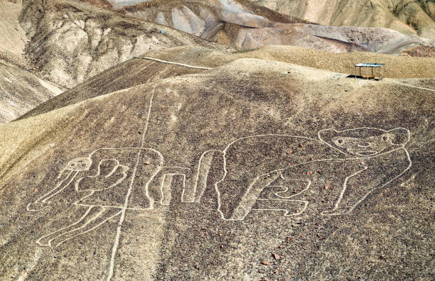 istock The Monkey Geoglyph at Palpa in Peru 1344311968