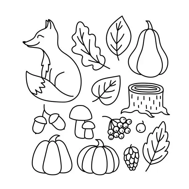 Vector illustration of A set of autumn drawings. Contour image of a fox, pumpkin, mushrooms, fallen leaves, a stump, berries. black drawing of autumn forest plants and animals for stickers, decor, postcards. Vector clipart