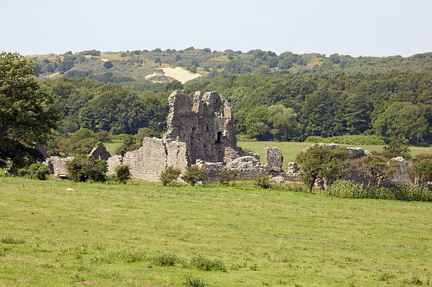 istock Castle ruin in countryside 134431570