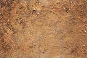 istock soil texture 1344319405