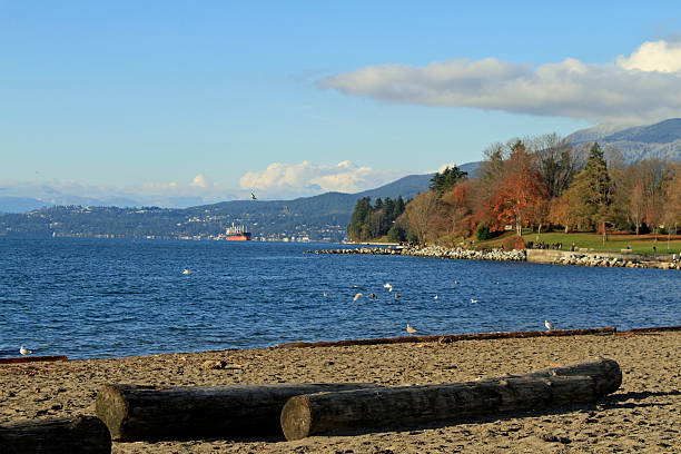 istock Canada Vancouver Bristich Columbia downtown late afternoon after first snow 134432047