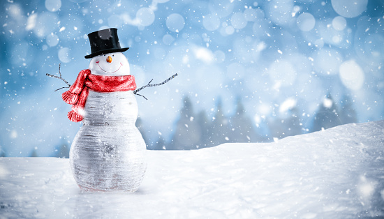 Funny Snowman and Magic Winter Background with Copy Space