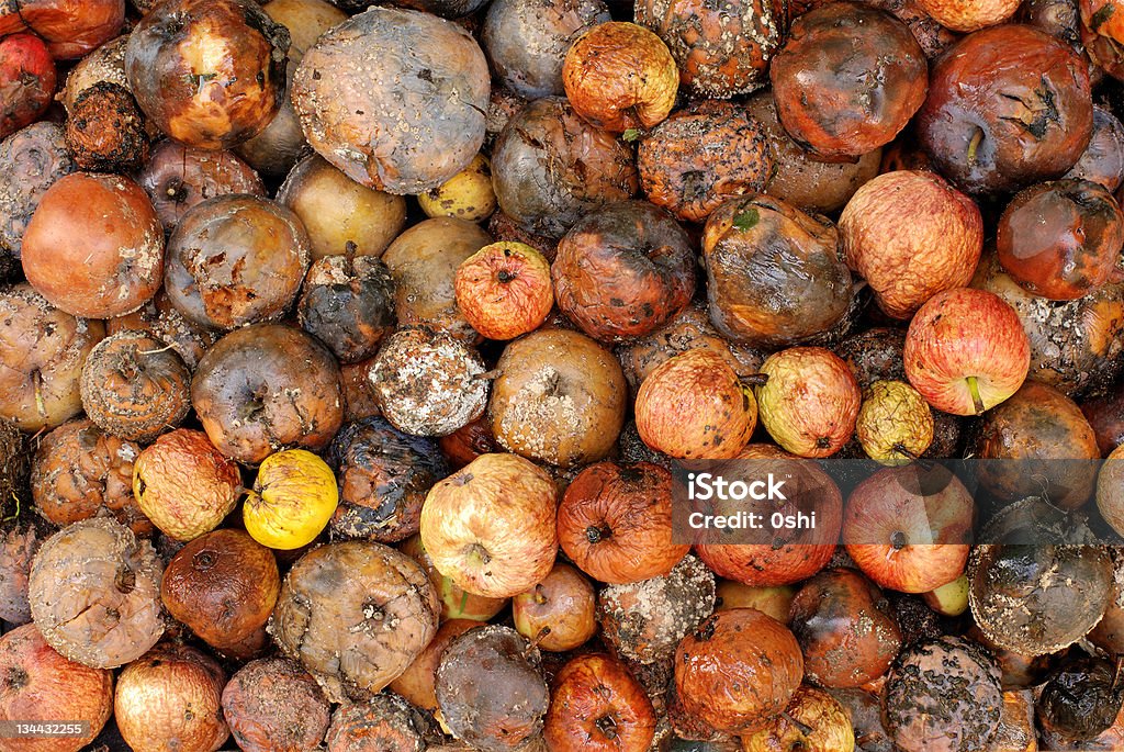 Rotten Äpfel - Lizenzfrei Apfel Stock-Foto