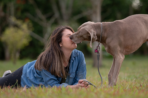 dog sniffing the face of young woman who is lying on the grass and smiling.