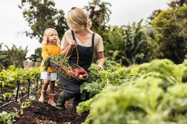 istock Cheerful mother smiling at her daughter while picking fresh kale 1344324057