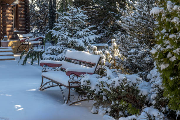 Deep snow in a mature English garden, North Yorkshire, United Kingdom