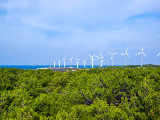 Wind power station in a forest landscape