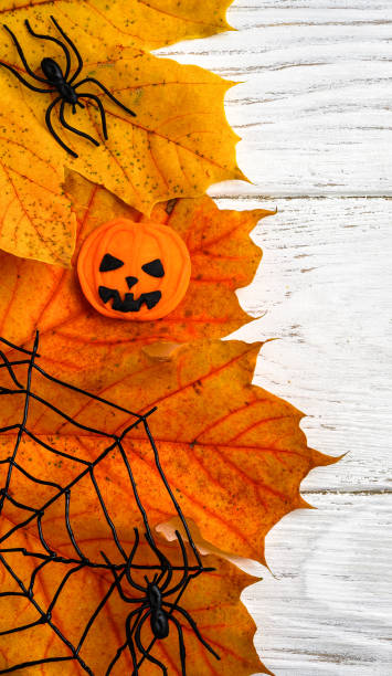 istock Halloween objects on white wooden table, vertical top view of fall maple leaves 1344338898