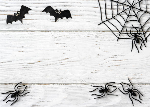 istock Halloween background with spiders, web and bats, top view 1344338909