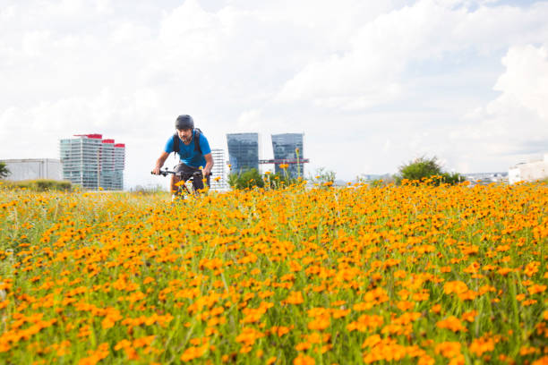 Man riding a bicycle in the countryside, in the background buildings