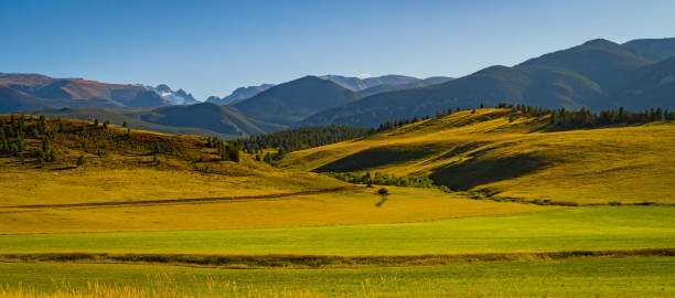 vista del paesaggio delle beartooth mountains, montana - montana summer usa color image foto e immagini stock