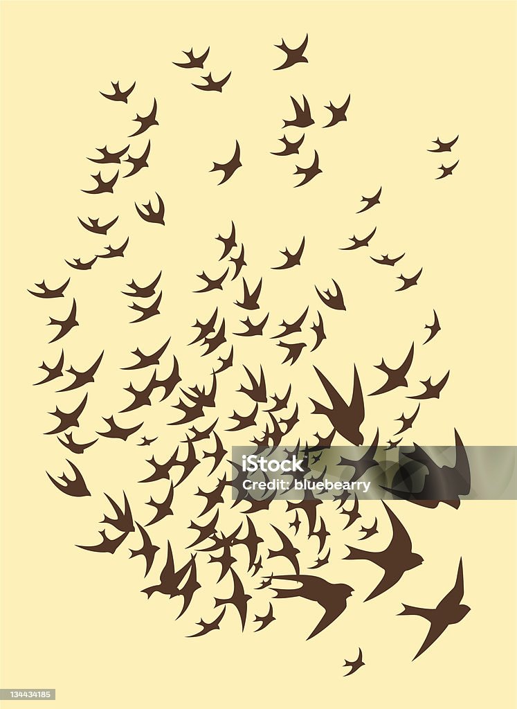 Flock of swallow Silhouette of flock birds Bird stock vector