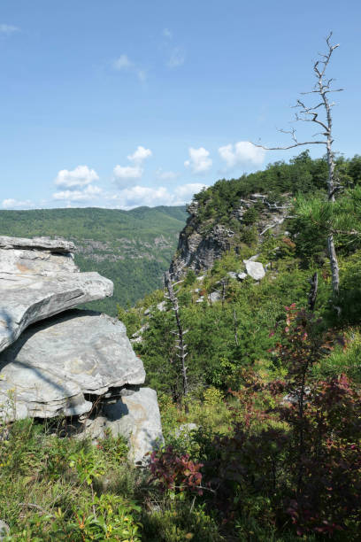 istock Linvville Gorge from Shortoff Mountain 1344343249
