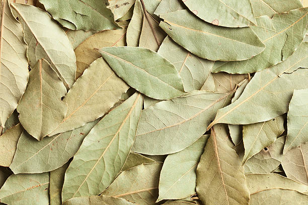 istock dry bay leaves background 134434343