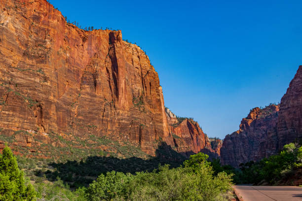 istock Refrigerator Canyon in Zion National Park 1344346074