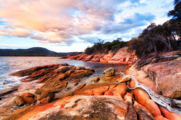 Tas Honey Moon Set Deadwood Colourful granite boulder rocks covered by lichen in Honeymoon bay of Freycinet national park and peninsula in Tasmania. tidal inlet stock pictures, royalty-free photos & images