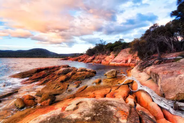 Colourful granite boulder rocks covered by lichen in Honeymoon bay of Freycinet national park and peninsula in Tasmania.