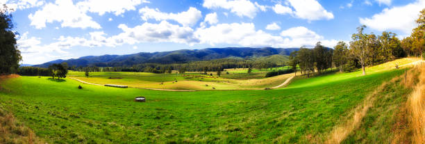 istock Tas Mt Victoria grazing pan 1344346742