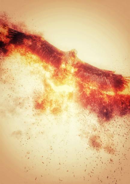 istock Illustration of a fire bird flapping in the sky 1344351268