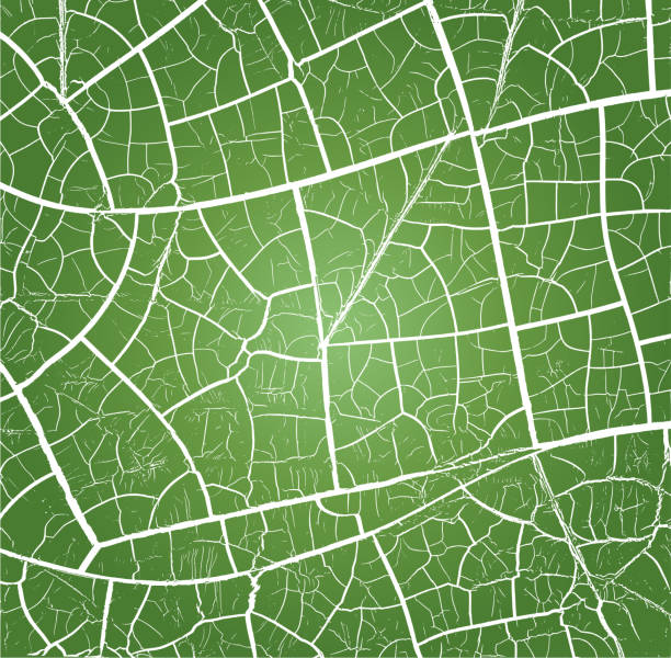 녹색 갈라진 - green abstract backgrounds leaf stock illustrations