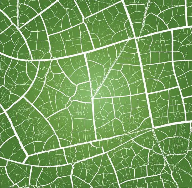 Vector illustration of Green Crackled