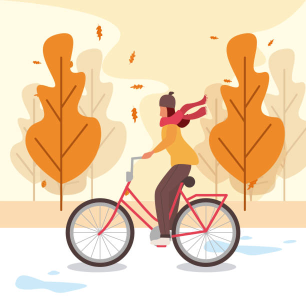 Autumn concept - woman on bicycle autumn illustration, holiday enjpy, woman on bicycle illustration thanksgiving live wallpaper stock illustrations