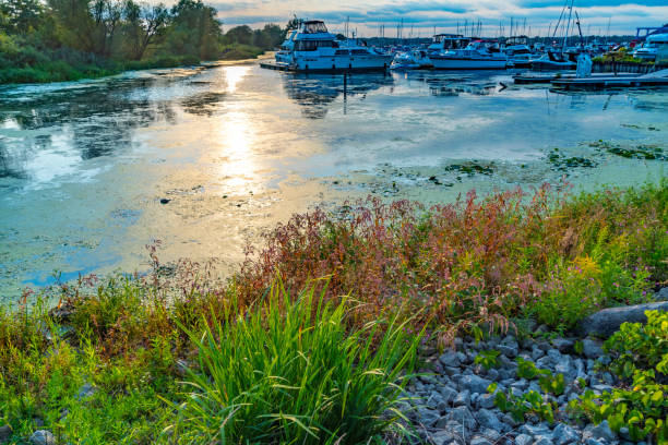 istock Frenchman's Bay, Millennium Square Pickering and Beachfront Park, Ontario, Canada 1344357720