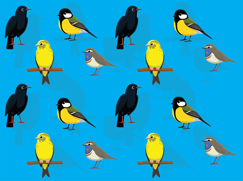 Animal Animation Bird Chough Canary Bluethroat Robin Tit Vector Seamless Wallpaper